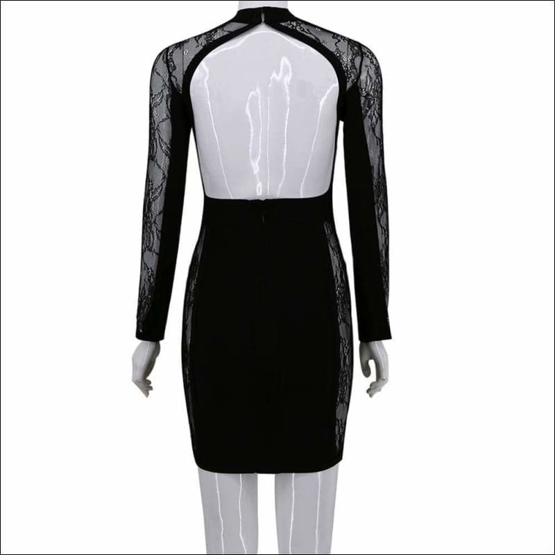 Winnal Black Lace Long Sleeve High Neck Blackless Bodycon Dress